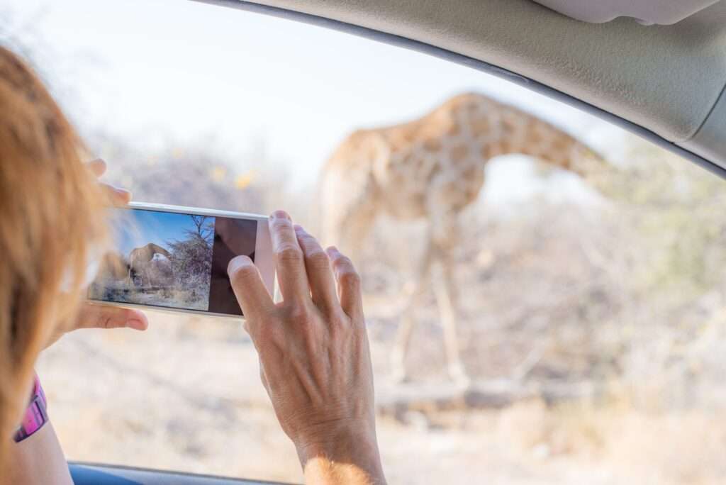 Tourist in Kenya