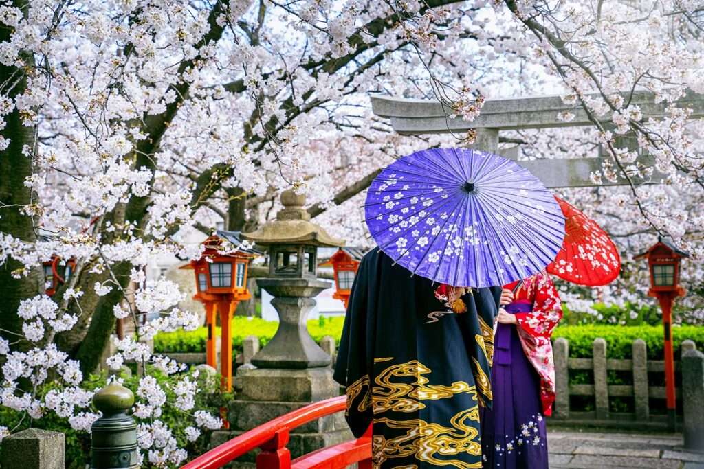 Un turista indossa un kimono tradizionale giapponese sotto i ciliegi in fiore durante la primavera, presso un tempio di Kyoto, in Giappone.