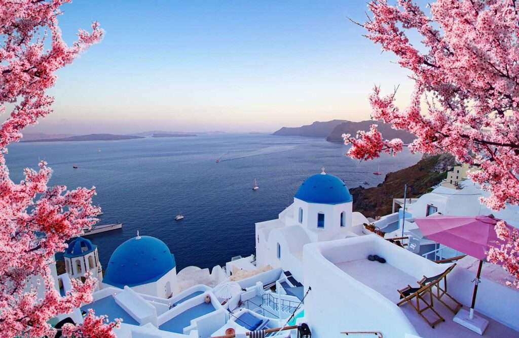 Splendida vista di Oia, Santorini, Grecia, con fiori di ciliegio rosa al tramonto primaverile.