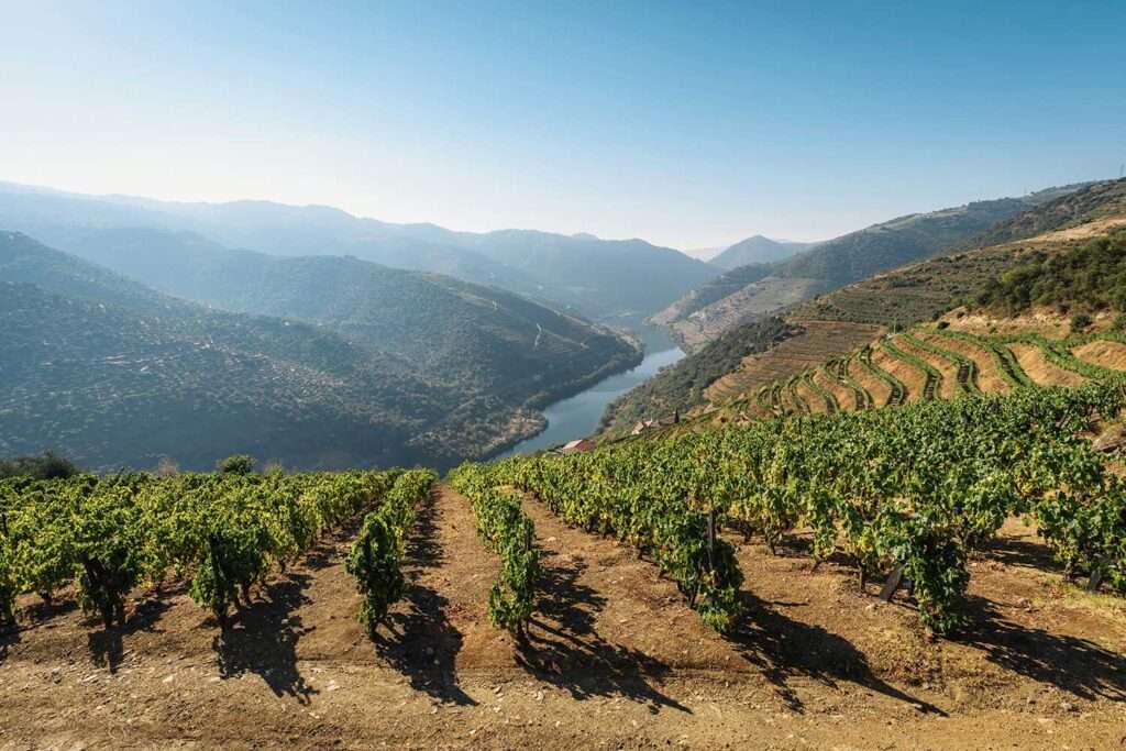 Vineyards and Douro River in the Douro Valley, Portugal.
